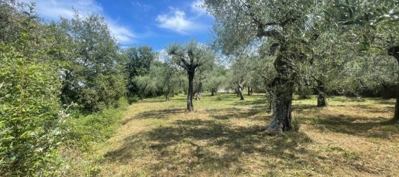 Terreno en Villanova d'Albenga, Italy No. 356916 2