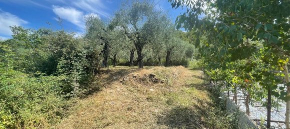 Terreno en Villanova d'Albenga, Italy No. 356916 8