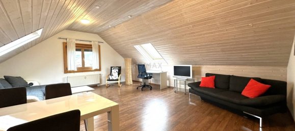 11 rooms Building in Baden-Wurttemberg, Germany No. 98029 13