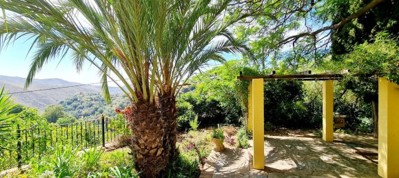 4 bedrooms Villa in Ojen, Spain No. 67421 11