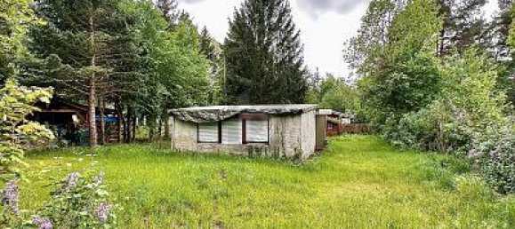 3 rooms House in Markisch-Oderland, Germany No. 366907 4