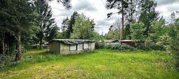 3 rooms House in Markisch-Oderland, Germany No. 366907 5