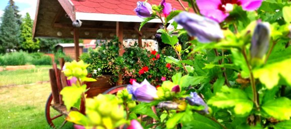 6 Schlafzimmer Gebäude in Anhalt-Bitterfeld, Germany, Nr. 264599 23