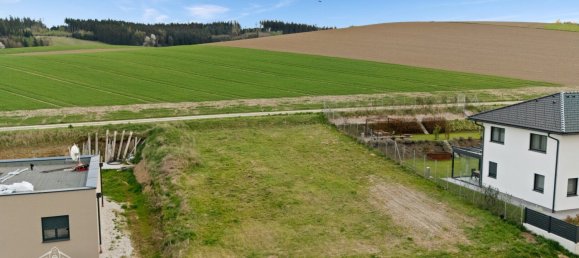  Land in Pennewang, Austria No. 227140 6