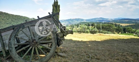 10 bedrooms House in Torrita di Siena, Italy No. 79708 17