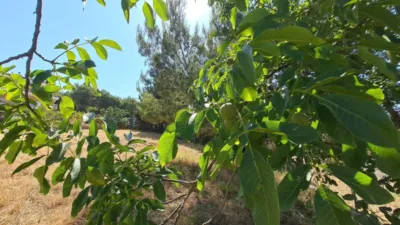  Land in Barcelona, Spain No. 135615