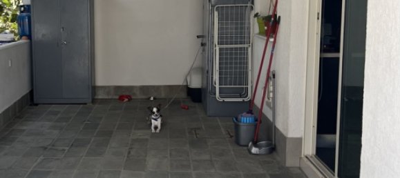 3 غرف نوم تاون هاوس في Kiti, Cyprus رقم 26258 4