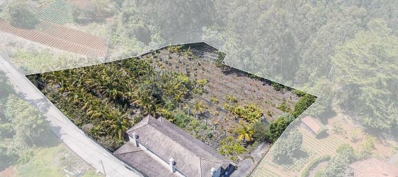 6 bedrooms House in Santana, Portugal No. 28508 3