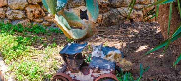 3 chambres Maison à Manacor, Spain No. 153575 24