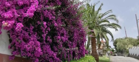 1 bedroom Apartment in Sestri Levante, Italy No. 339990 5