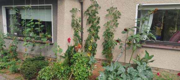 3 bedrooms House in Hagen, Germany No. 304100 21