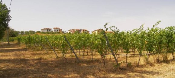 Studio in Marciano della Chiana, Italy, Nr. 81296 4