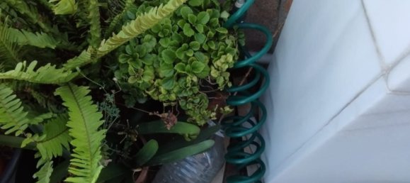 2 غرف نوم بانتهاوس في Valencia, Spain رقم 131885 20