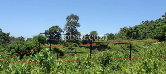 Terrain à Nusa Dua, Indonesia 784m² No. 3784 6