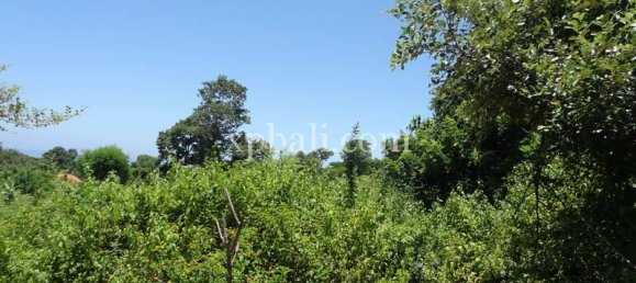 Terrain à Nusa Dua, Indonesia 784m² No. 3784 4