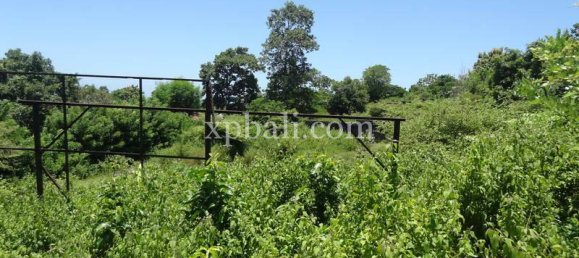 Terrain à Nusa Dua, Indonesia 784m² No. 3784 5