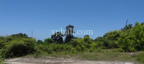 Terrain à Nusa Dua, Indonesia 784m² No. 3784 7