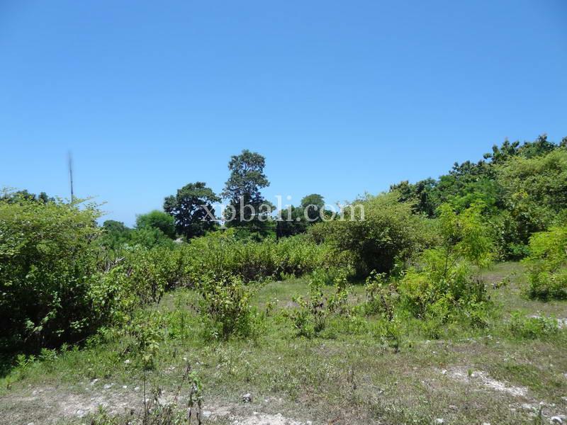 Terrain à Nusa Dua, Indonesia 784m² No. 3784