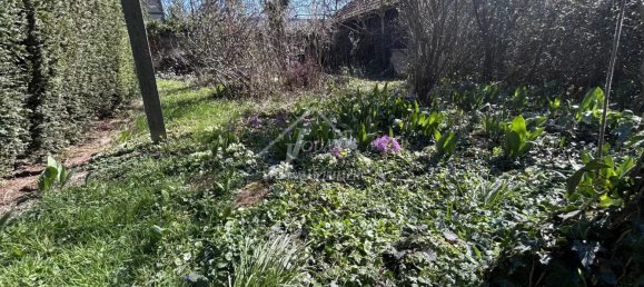 4 bedrooms House in Saint-Pourcain-sur-Sioule, France No. 276069 28