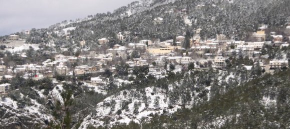 5 غرف نوم فيلا في Limassol, Cyprus رقم 25464 15