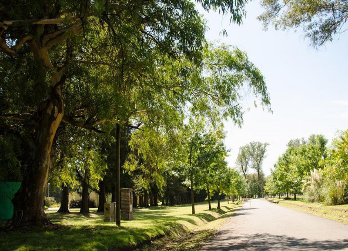  Land in Moreno, Argentina No. 46455