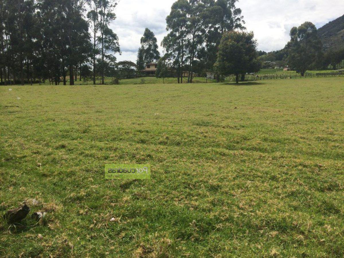 Terrain à Antioquia, Colombia No. 490