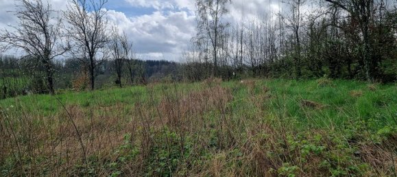 3 غرف نوم منزل في Rimogne, France رقم 240125 8