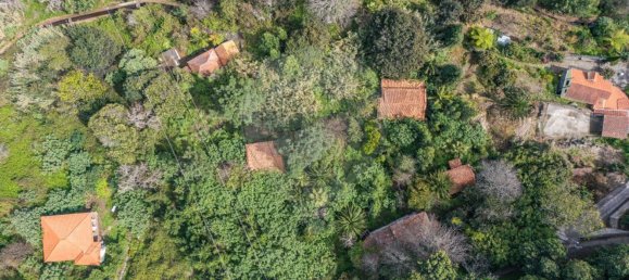 6 bedrooms House in Camacha, Portugal No. 189000 10