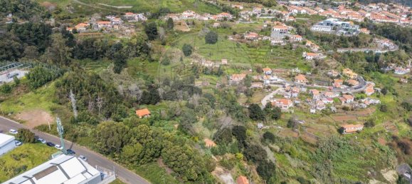 6 bedrooms House in Camacha, Portugal No. 189000 5