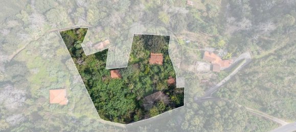 6 bedrooms House in Camacha, Portugal No. 189000 11