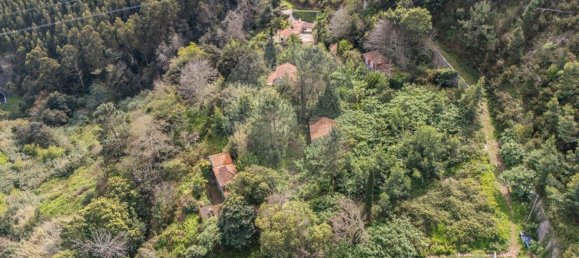 6 bedrooms House in Camacha, Portugal No. 189000 2