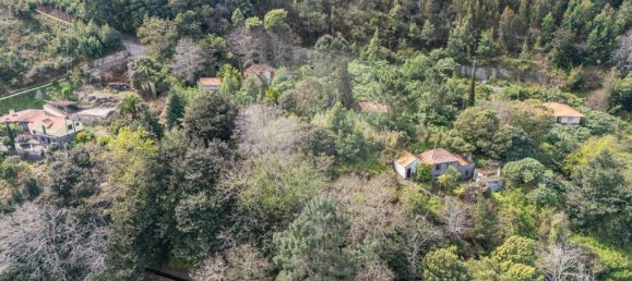 6 bedrooms House in Camacha, Portugal No. 189000 3