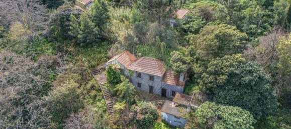 6 bedrooms House in Camacha, Portugal No. 189000 12