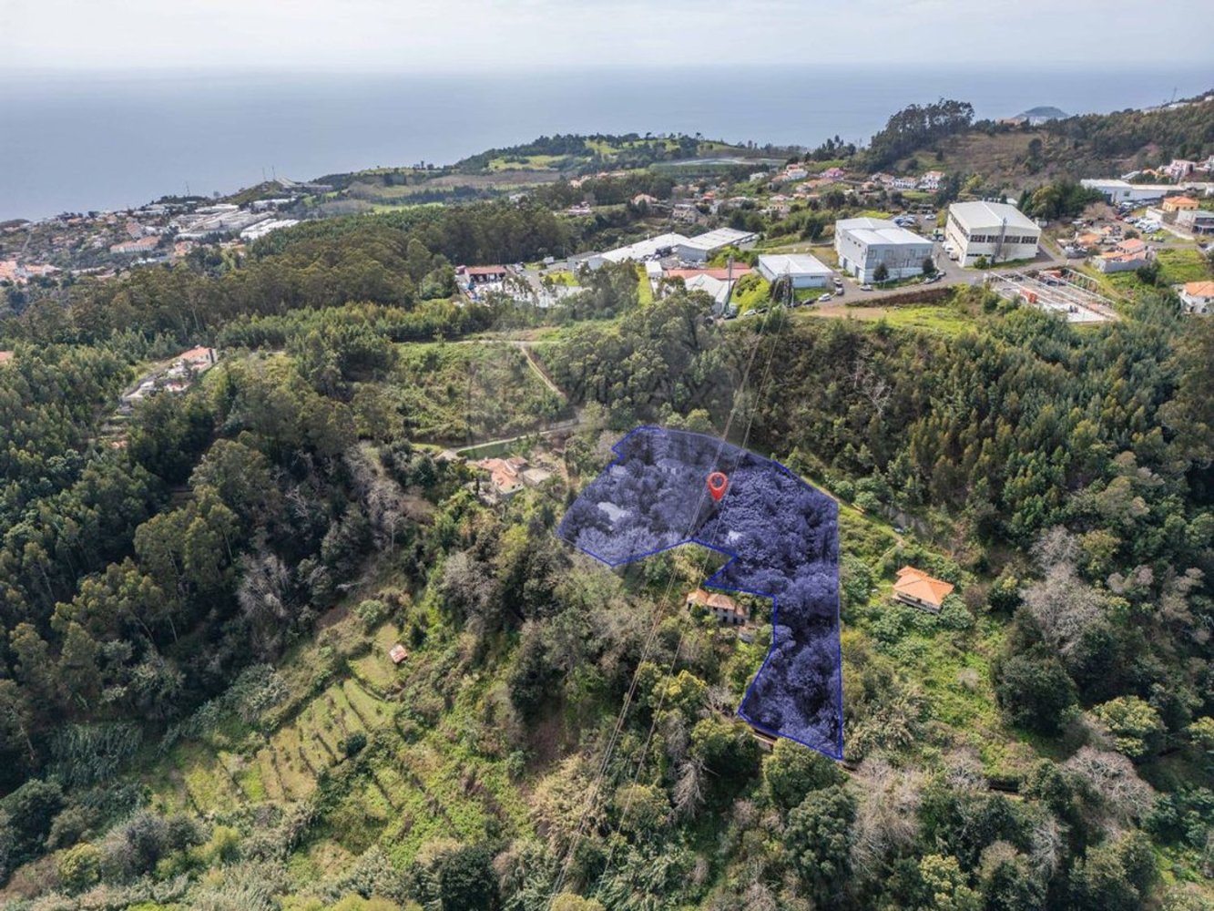 6 bedrooms House in Camacha, Portugal No. 189000