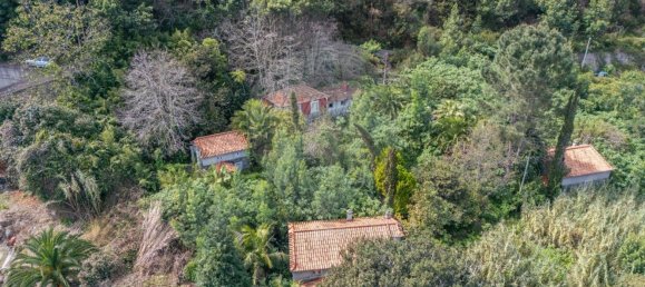 6 bedrooms House in Camacha, Portugal No. 189000 13