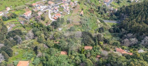 6 bedrooms House in Camacha, Portugal No. 189000 16