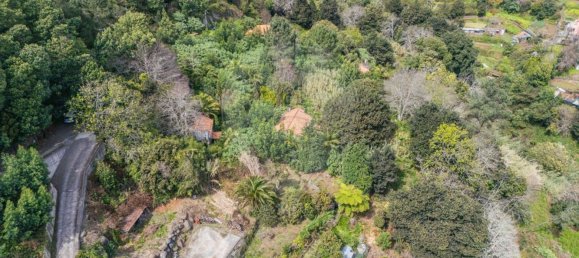 6 bedrooms House in Camacha, Portugal No. 189000 4