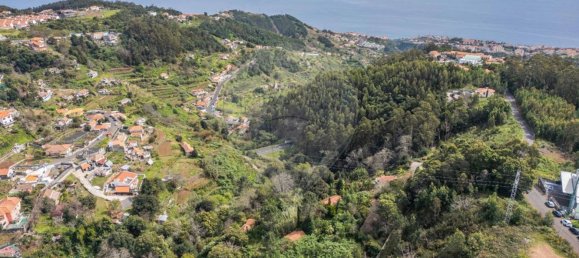 6 bedrooms House in Camacha, Portugal No. 189000 9