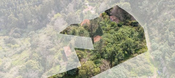 6 bedrooms House in Camacha, Portugal No. 189000 14