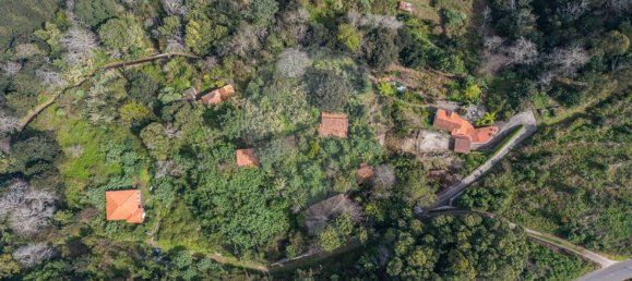 6 bedrooms House in Camacha, Portugal No. 189000 15