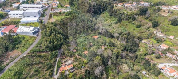 6 bedrooms House in Camacha, Portugal No. 189000 7