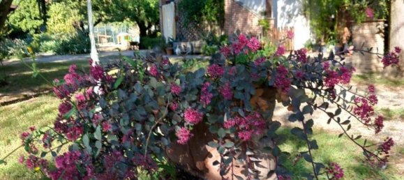 14 rooms House in Alessandria, Italy No. 50875 10