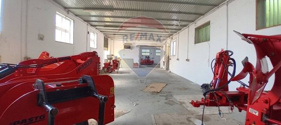 Gewerbliche Immobilie in Riva del Po, Italy 347m², Nr. 314487 6