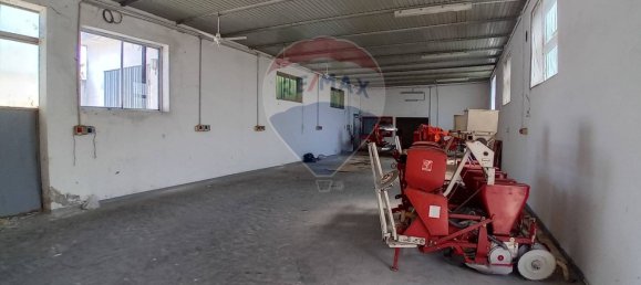 Gewerbliche Immobilie in Riva del Po, Italy 347m², Nr. 314487 4