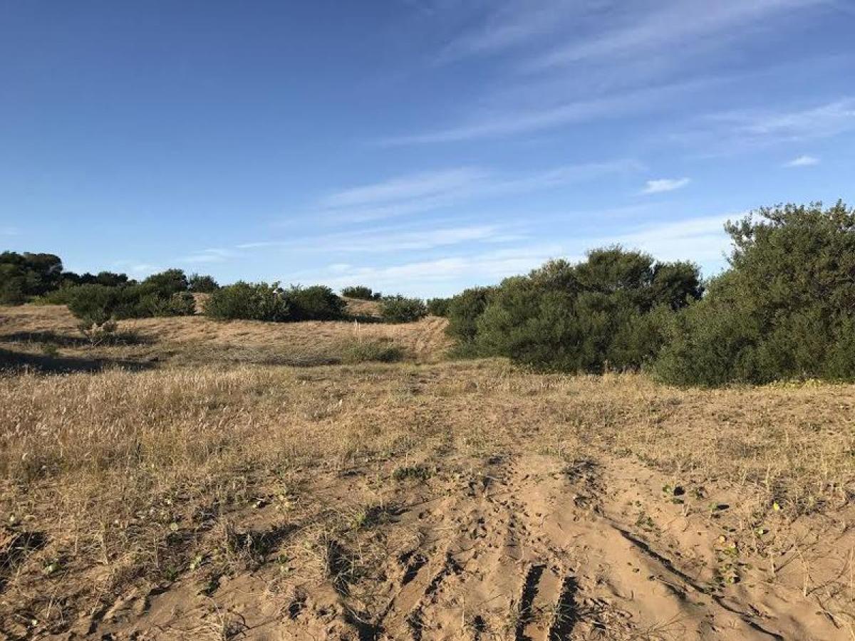Terrain à Mar del Plata, Argentina No. 110886