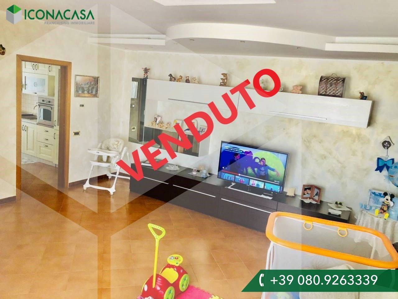 3 rooms Commercial property in Casamassima, Italy No. 17699