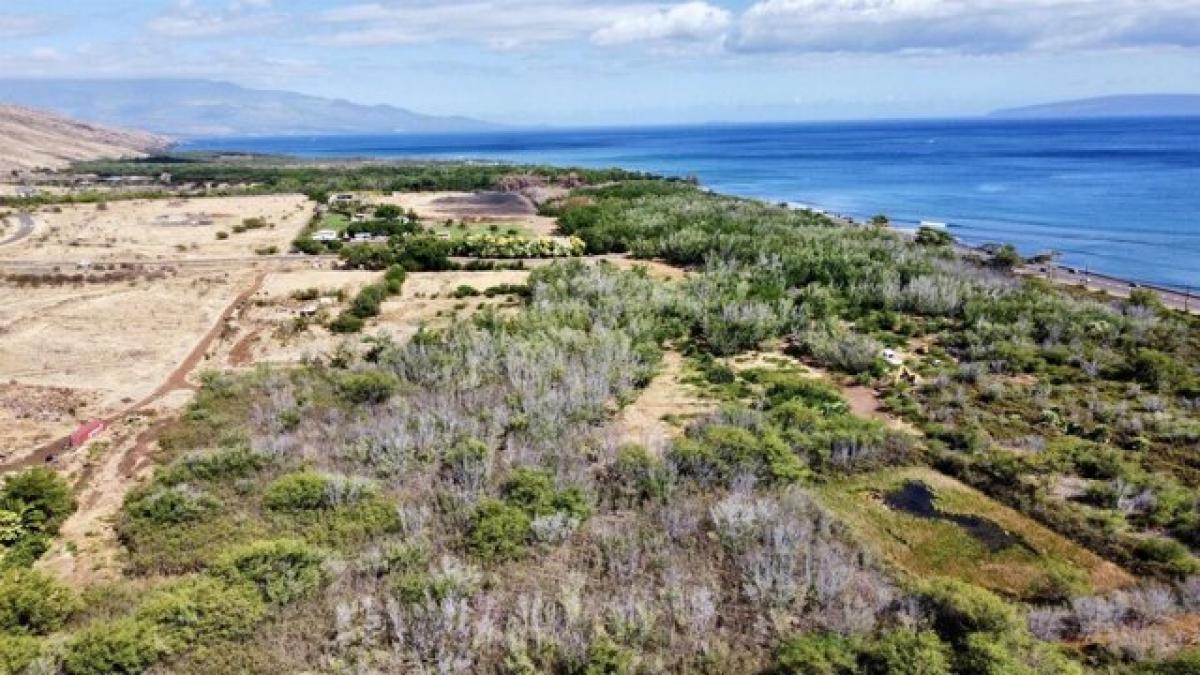  Land in Lahaina, USA No. 478684