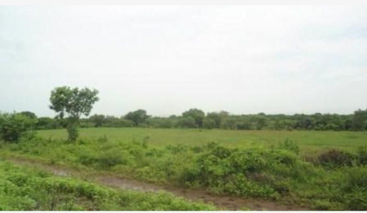  قطعة أرض في Veracruz, Mexico رقم 205986