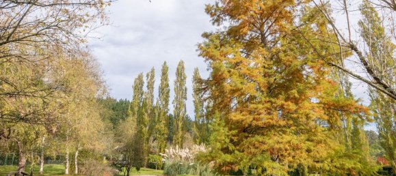 Casa de 16 dormitorios en Comunidad Autónoma Vasca, Spain No. 148970 41