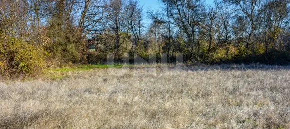 Terrain à Inguias, Portugal No. 76077 4